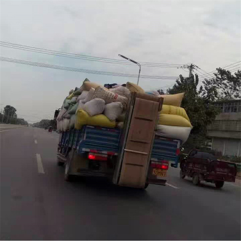 裝車皮帶機(jī)